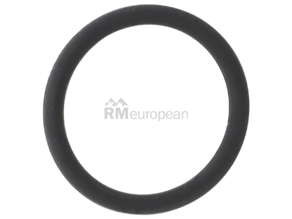 Mercedes O-Ring Elring Klinger 0169979945