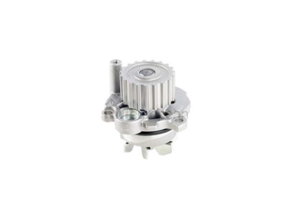 VW-Audi Water Pump Graf 038121011A