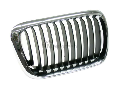 BMW Grille Genuine BMW 51138195152
