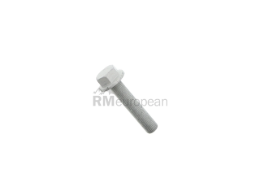 VW-Audi Crankshaft Pulley Bolt Genuine VW/Audi WHT009475