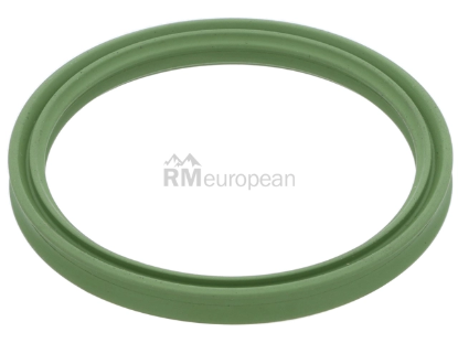 BMW O-Ring Elring Klinger 13718642240