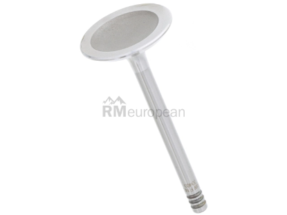 VW-Audi Intake Valve TRW 078109601E