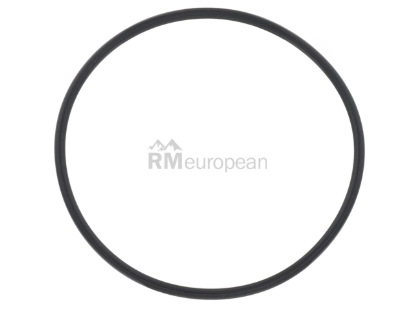 Porsche O-Ring Genuine Porsche 99970109240
