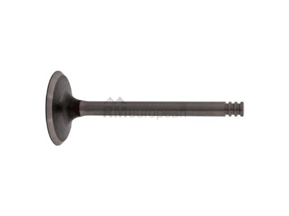 VW-Audi Intake Valve febi bilstein 038109601E