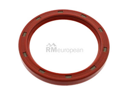 VW-Audi Crankcase Seal Elring Klinger 113105245F