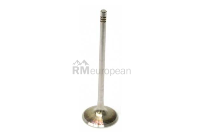 BMW Intake Valve TRW 11347553775