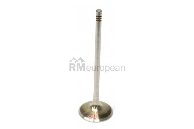 BMW Intake Valve TRW 11347553775