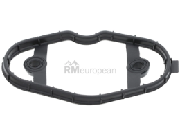 Gasket Victor Reinz 11128618520