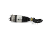Porsche Air Suspension Strut Arnott Industries AS3056