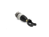 Porsche Air Suspension Strut Arnott Industries AS3056