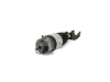 Porsche Air Suspension Strut Arnott Industries AS3056