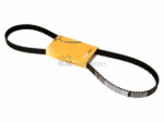 VW-Audi Timing Belt Continental 054109119H