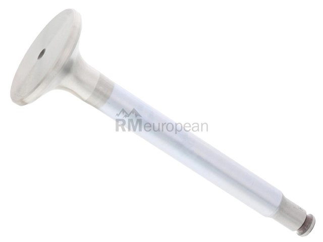 Mercedes Exhaust Valve TRW 1100500027