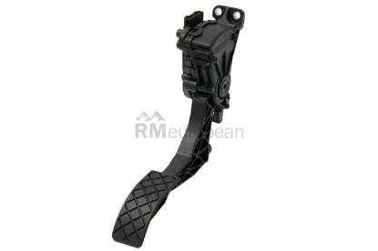 VW-Audi Pedal Assembly Hella 6Q1721503M