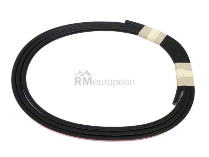 BMW Sunroof Seal Genuine BMW 54107245551