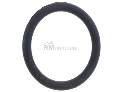 BMW O-Ring Ajusa 07141696931