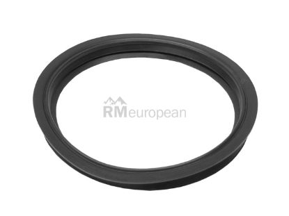 Seal Genuine BMW/Mini 16141182905