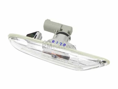 BMW Additional Side Light TYC 63137253325