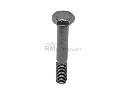 BMW Bolt Genuine BMW 26111102144