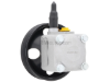 Volvo Power Steering Pump Pro Parts 8251738