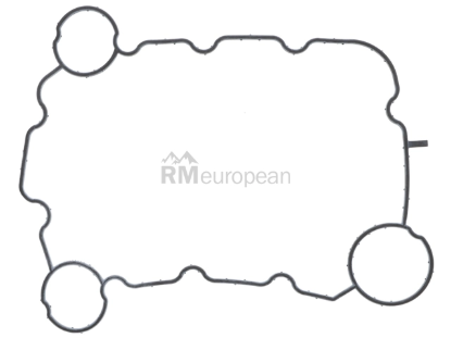 VW-Audi Gasket Genuine VW/Audi 06E103517