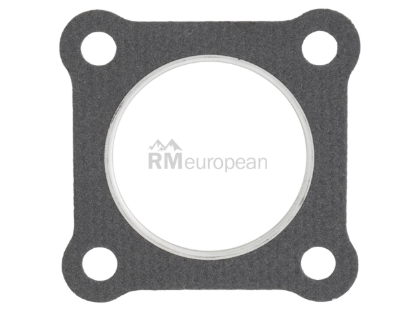 VW-Audi Exhaust Gasket HJS 1J0253115L