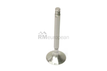 Porsche Intake Valve TRW 61610540200
