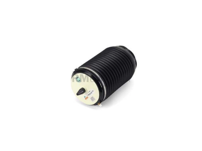 VW-Audi Suspension Air Bag Arnott Industries A3891