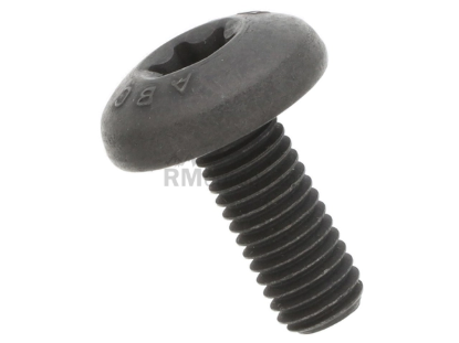 BMW Engine Oil Pump Screw Genuine BMW 11417520144