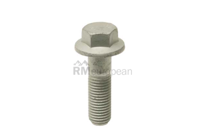 BMW Caliper Bracket Bolt Genuine BMW 34116797579