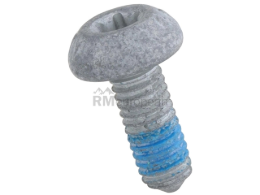 VW-Audi Timing Cover Bolt VNE N91096702