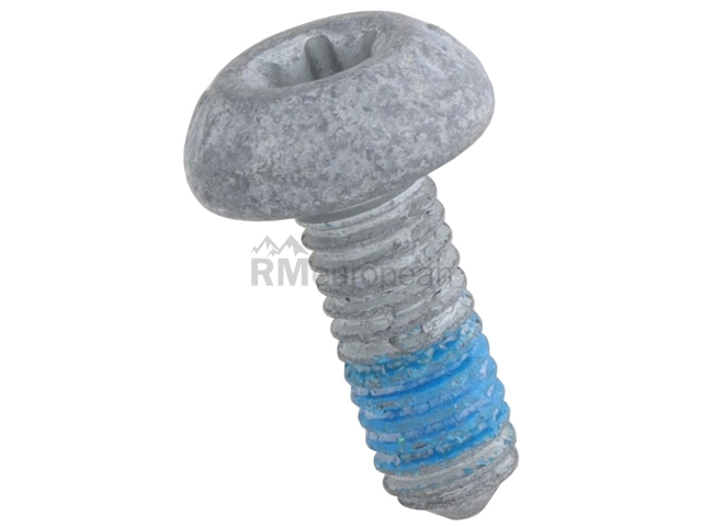 VW-Audi Timing Cover Bolt VNE N91096702