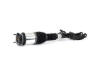 Mercedes Air Suspension Strut Arnott Industries 1663205466