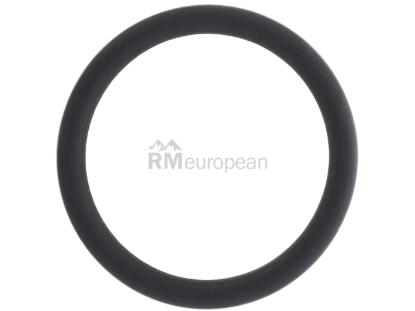 Saab Oil Dipstick Tube O-Ring Genuine Saab 9138108