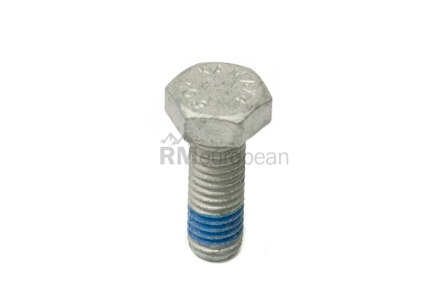 Brake Caliper Guide Bolt Genuine BMW/Mini 34116768190