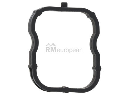 VW-Audi Throttle Housing Seal Genuine VW/Audi 079145417B