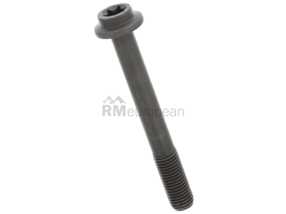 Volvo Bolt Genuine Volvo 30624532
