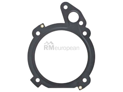 VW-Audi Throttle Housing Gasket Elring Klinger 077133073K