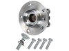 Wheel Hub Schaeffler 7136496300