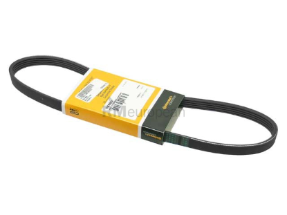 Volvo Belt 5PK X 890 Continental 30777531