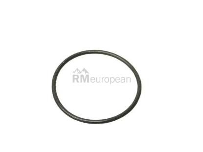 Seal Victor Reinz 407629200