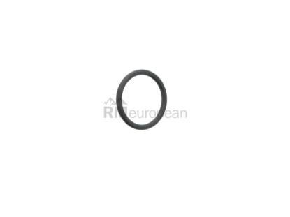 BMW Turbocharger O-Ring Genuine BMW 11617848448