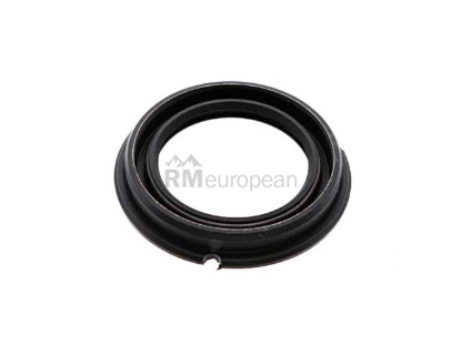 VW-Audi Wheel Seal SKF 131405641A