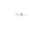 Porsche Nut Cohline 90010400303