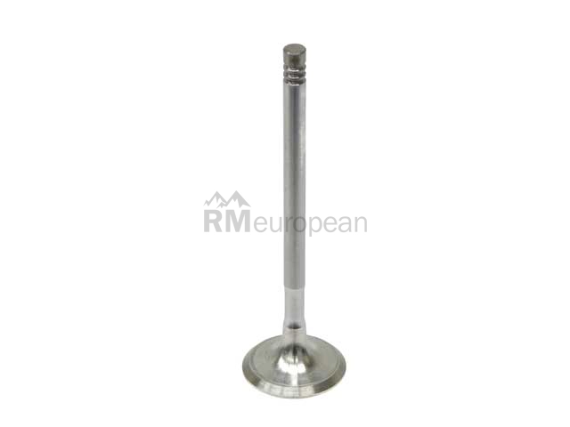 BMW Exhaust Valve Intervalves 11347503738