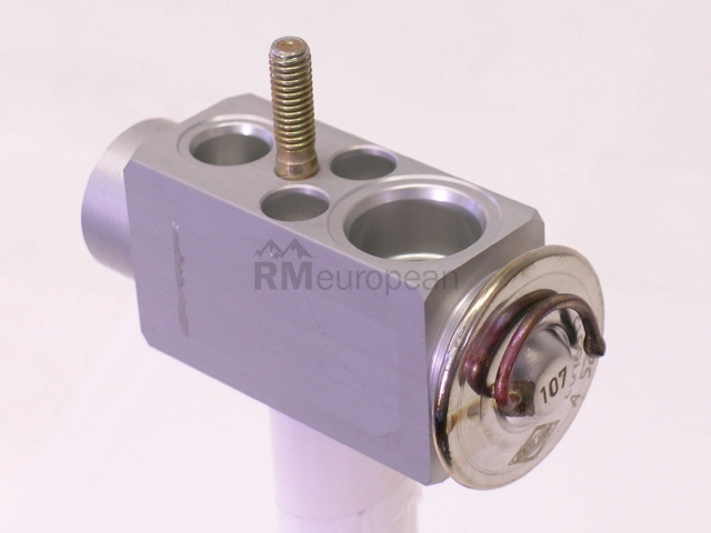 Mercedes Expansion Valve ACM O.E.M. 463830660164