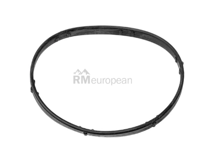 Jaguar Thermostat Seal Eurospare AJ83525