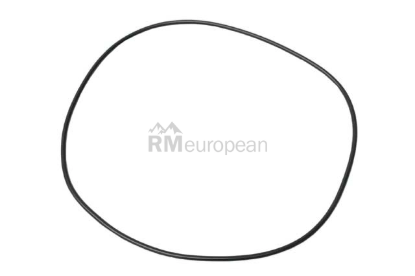 BMW O-Ring ZF 24311422806