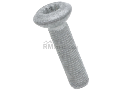 VW-Audi Wheel Bearing Bolt Genuine VW/Audi WHT006966