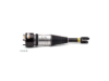 Jaguar Shock Absorber Arnott Industries AS2890